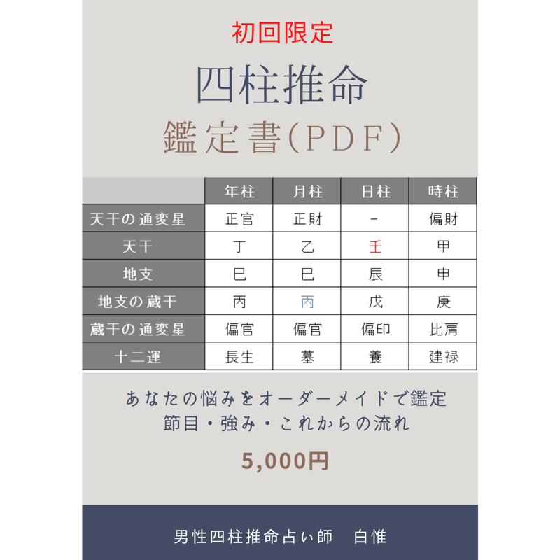初回限定】四柱推命鑑定書（PDF）｜節目・強み・これからの流れ（〜5日