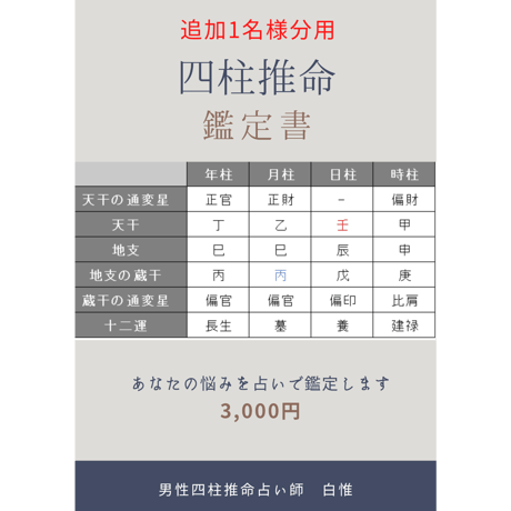 【追加1名】四柱推命 追加鑑定書（家族・パートナー・お子さま）｜初回鑑定書購入者専用