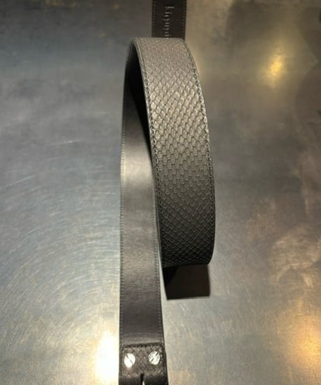 Python Belt