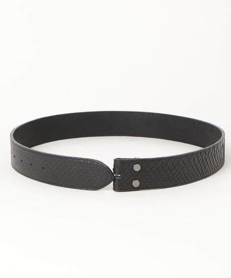 Python Belt
