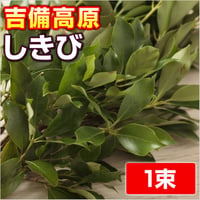 【オプション】しきび　【長さプラス１５～２０CM】