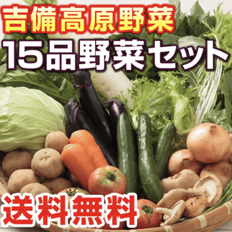 【吉備高原農家の野菜】 大盛り15品野菜セット