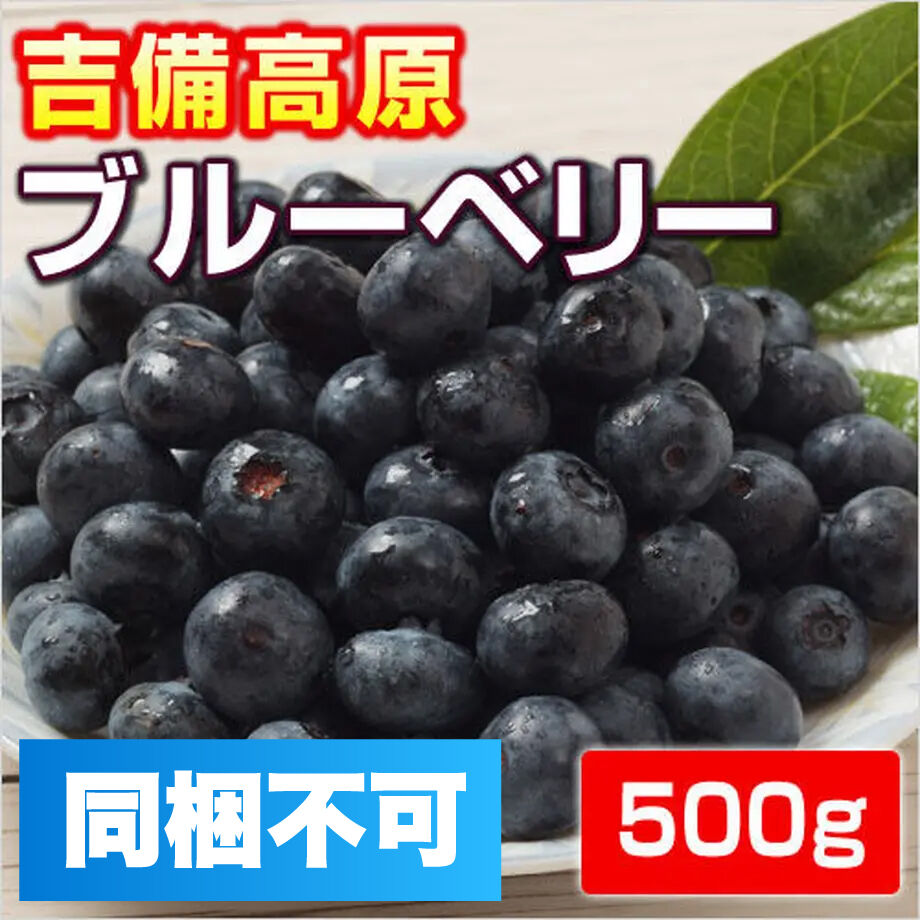 【生果】　吉備高原ブルーベリー　500ｇ