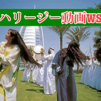 ハリージースペシャル動画WS