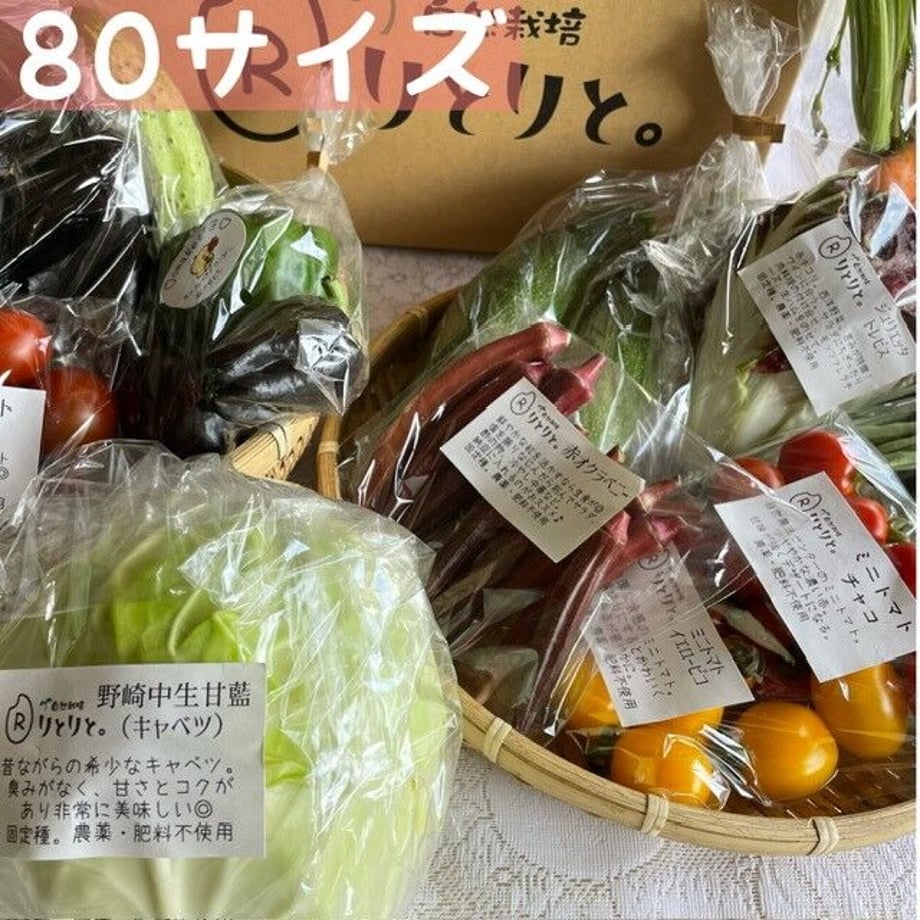 64e8a1c0835a671fff4f4aa2