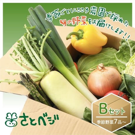 季節野菜詰め合わせ Bセット（7品〜）                                                            福岡市早良区・西区配達料無料