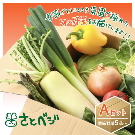 季節野菜詰め合わせ Aセット（5品〜）                                          　　　(送料あり）
