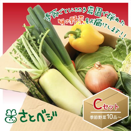 季節野菜詰め合わせ Cセット（10品〜）（送料あり）