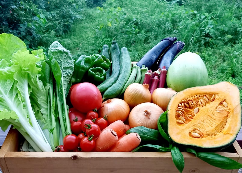 未来をつくる〜 笑み野菜 Mセット(8～10品程度) | 山内ファーム