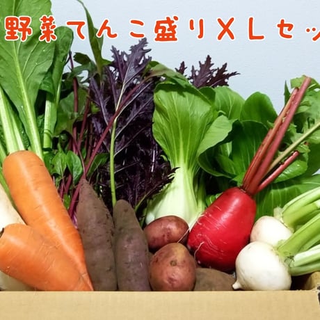 自然が生み出す　笑み野菜 てんこ盛りXLセット(増量12品程度)