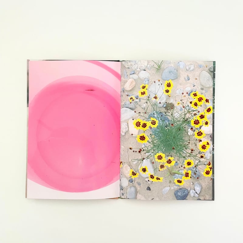 Flowers Sounds Light / Suilen Higashino 東野翠れん