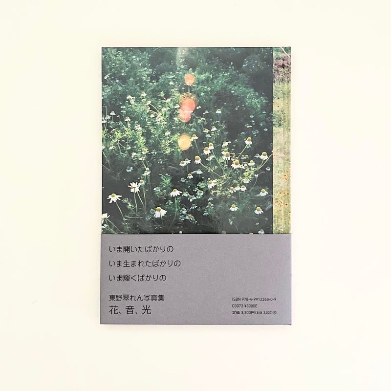 Flowers Sounds Light / Suilen Higashino 東野翠れん