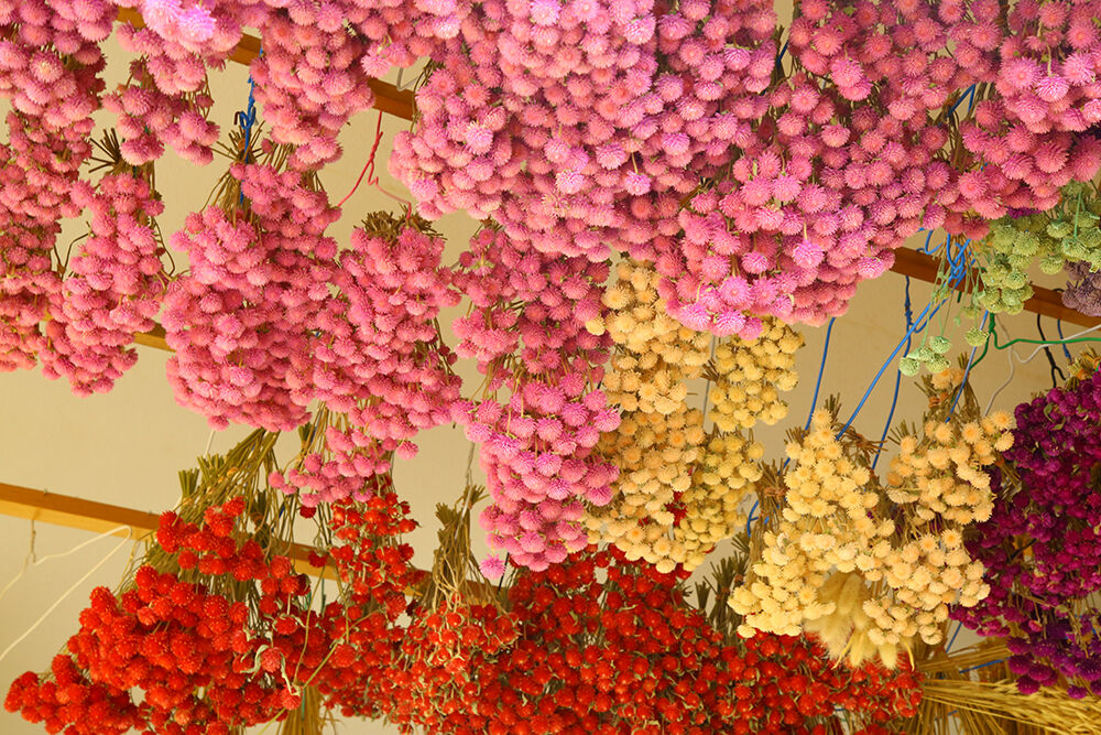 アレンジメントドライフラワーリース(Sサイズ) | 花農場あわの