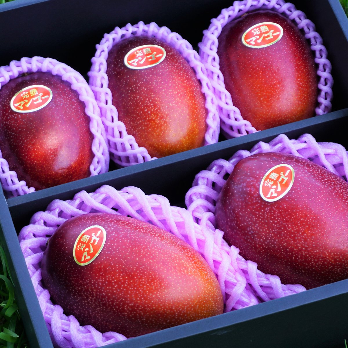 鹿児島県産完熟マンゴー良品サイズ混1.5kgSML 温泉マンゴー(鹿児島県垂水産)4kg[4～5玉×2]｜水・焼酎の財宝