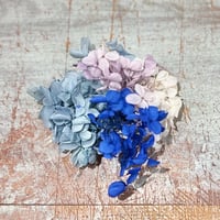 プリザーブドフラワー/紫陽花/暖色系ミックス | BOTANICAL ART