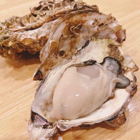 能登の牡蠣串あげセット