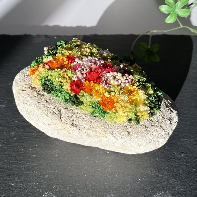 枯れないお花 軽石の花 | Nonoca.nonoca.store