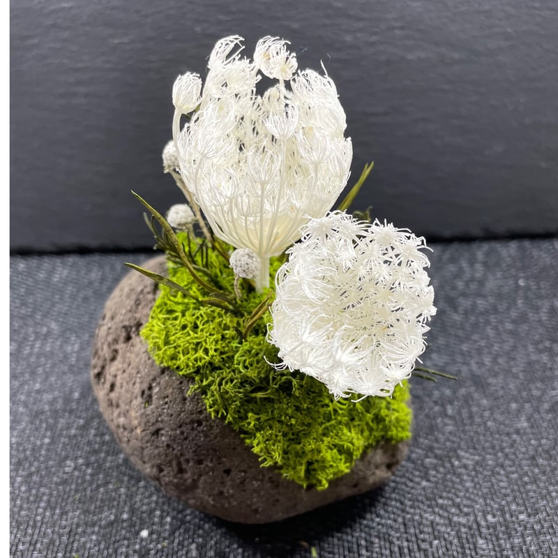 枯れないお花 軽石の花 | Nonoca.nonoca.store