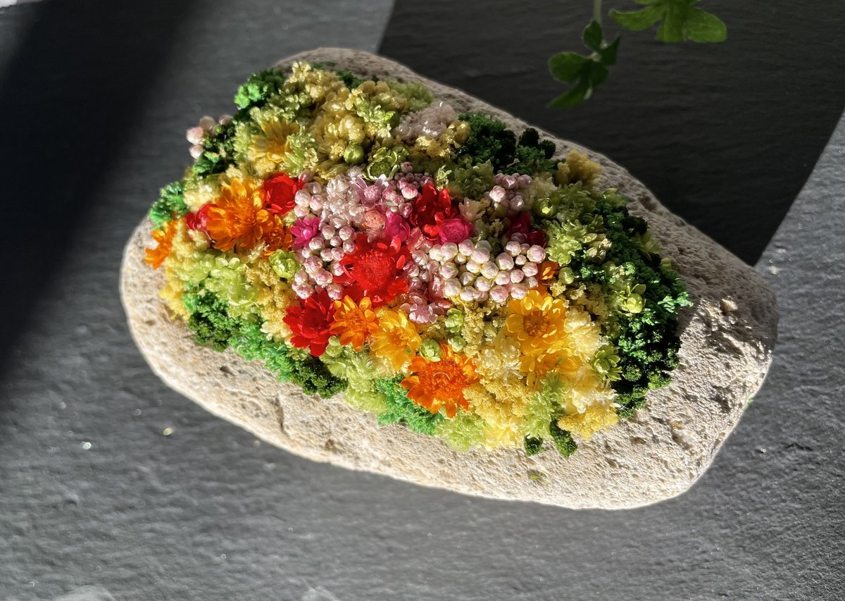 枯れないお花 軽石の花 | Nonoca.nonoca.store