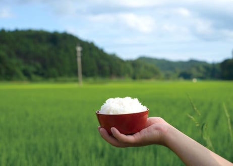 【復興支援】里山まるごとホテルのお米　３kg　能登バッヂ付き