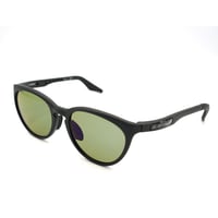 OUTLAND OL-206 COLCA アウトランド 偏光サングラス