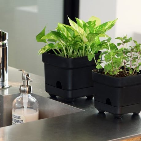 HERE by DETAIL Bottom Watering Pot “ Large”