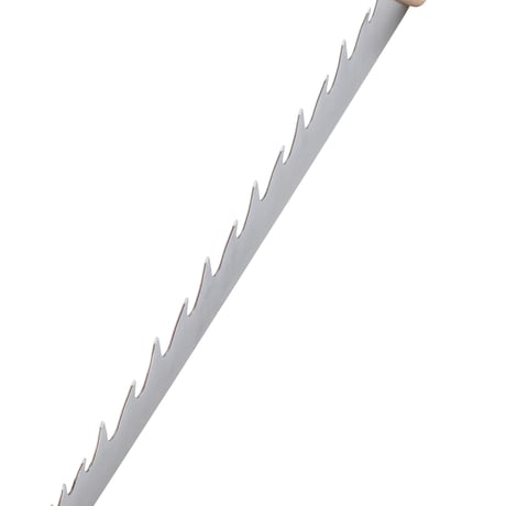 モチヅキ スノーソー