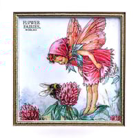 フラワーフェアリーズ　ミニゲルアートフレーム“レッドクローバーフェアリー”
