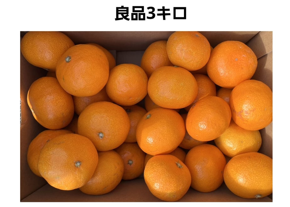 619b9c69570f67577726f4ba