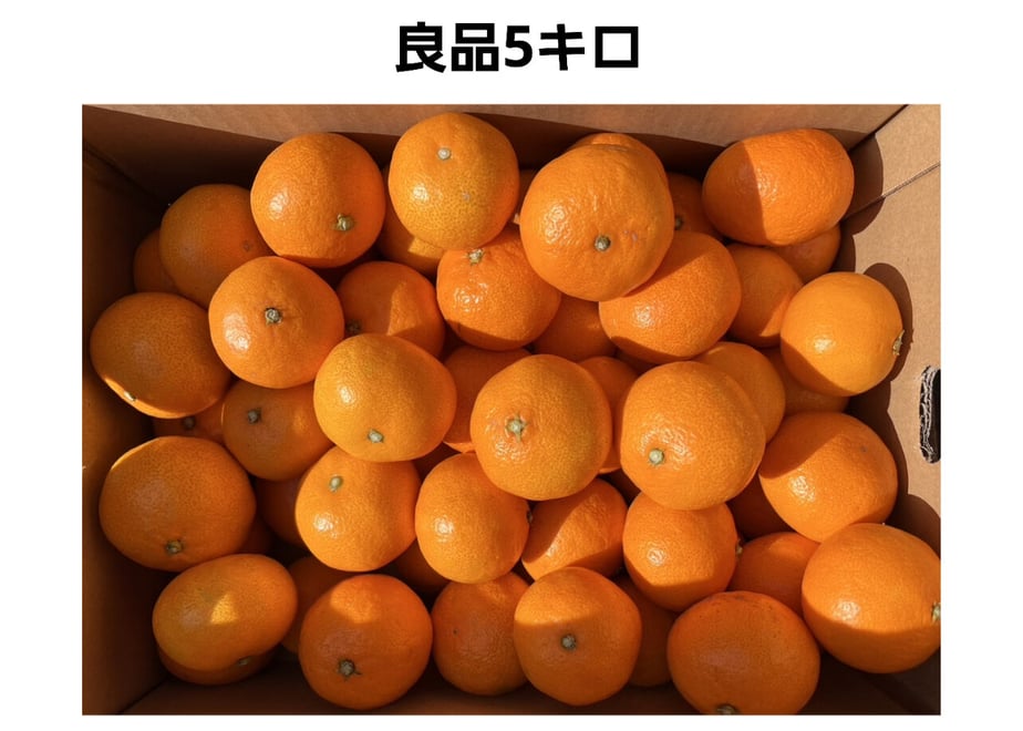 619cb597570f677e1d26f5e9