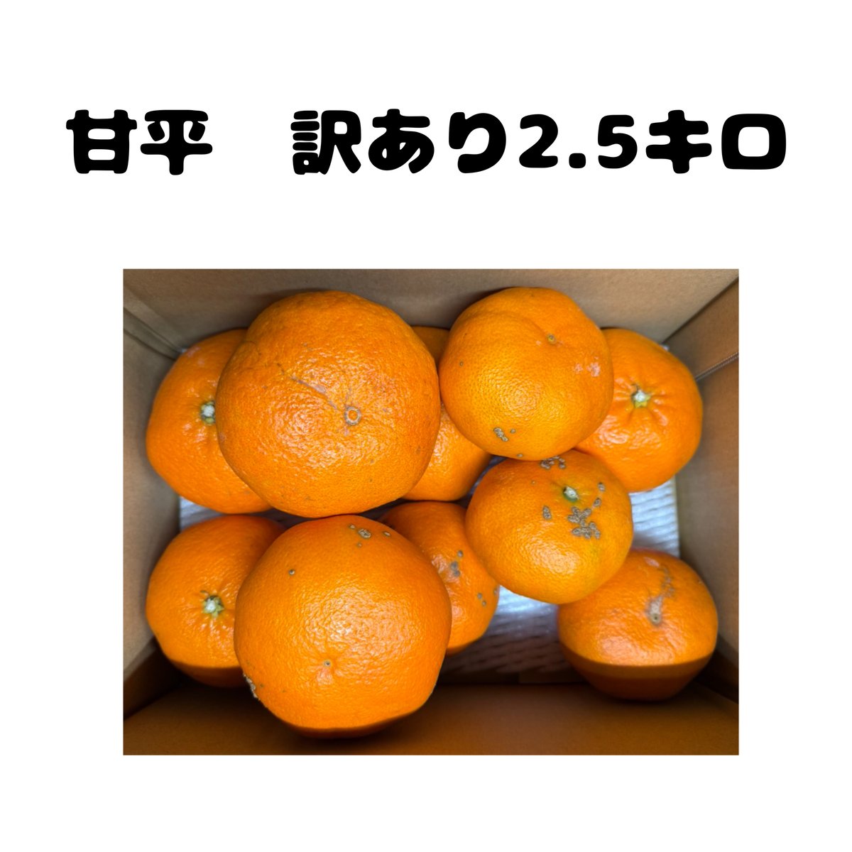 甘平 訳あり | 木下農園-キー坊みかんショップ-