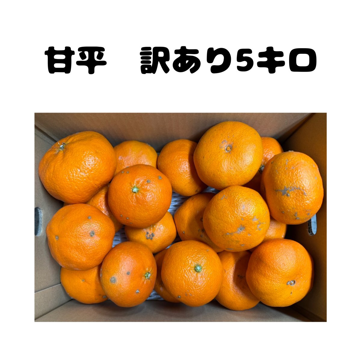 甘平 訳あり | 木下農園-キー坊みかんショップ-