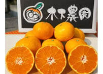 サイズを選べる🍊木下さんちのみかん3キロ🍊