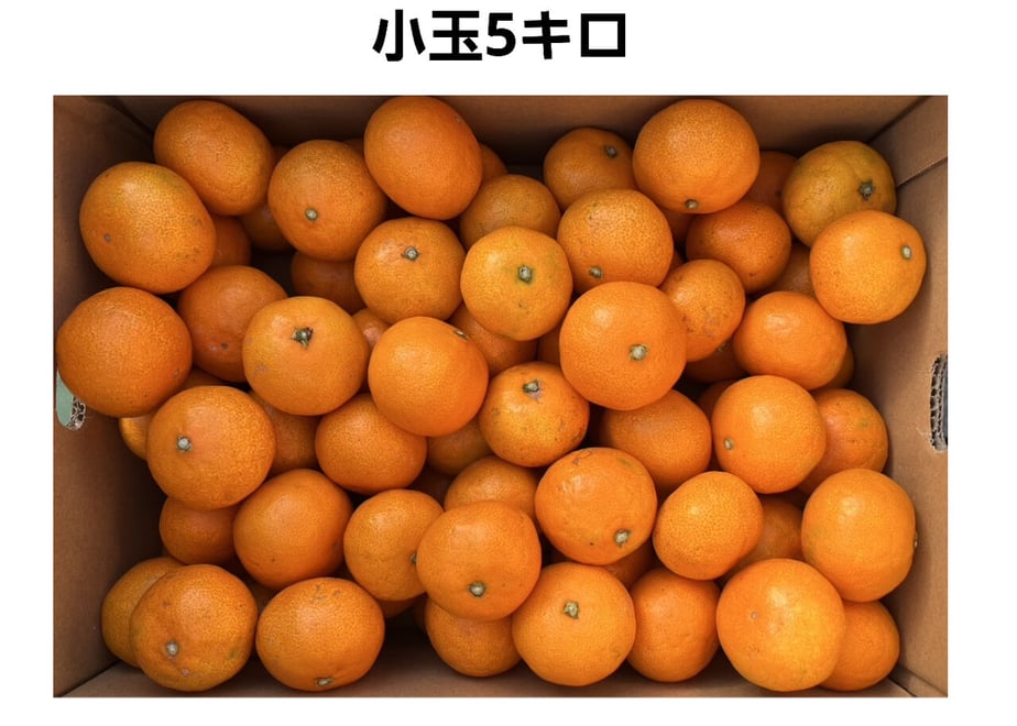 619b9de7570f6733ae26f5b1