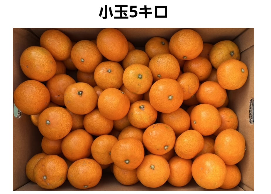 619cb597570f677e1d26f5e9
