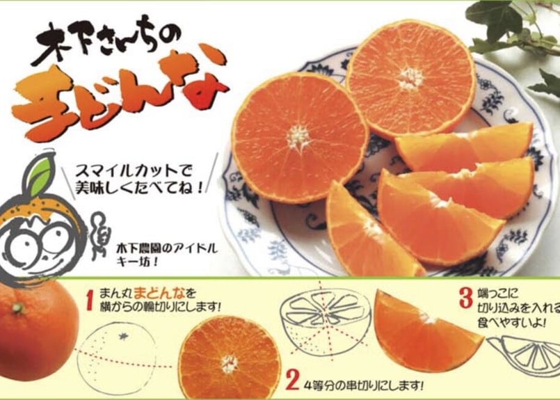 専用♥みかん♥超肉厚⭐ゆったり大人☆Wボア★ネックウォーマー♥みるく 11月2日「道の駅みやまみかんフェア」開催！ 更に「琉球太鼓エイサ－」開演