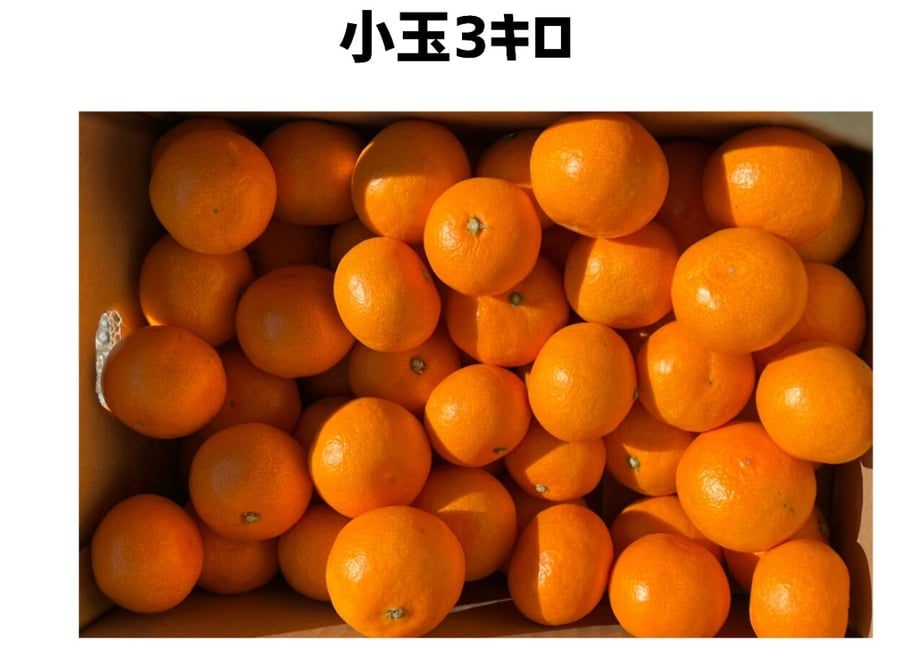 619b9c69570f67577726f4ba