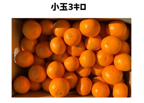 木下さんちのみかん 3キロ×2箱