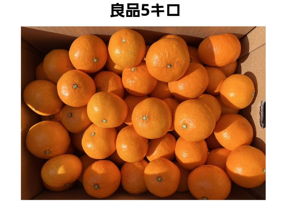 619b9de7570f6733ae26f5b1