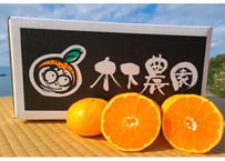 木下さんちのみかん 3キロ×2箱