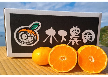 木下さんちのみかん 3キロ×2箱