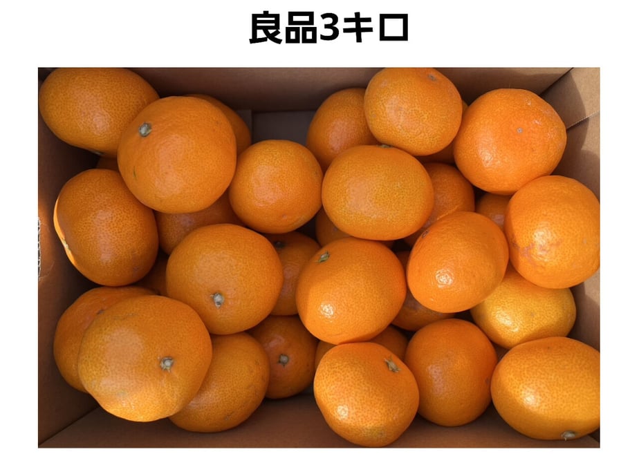 617c0f8a0c98467ff08aa330