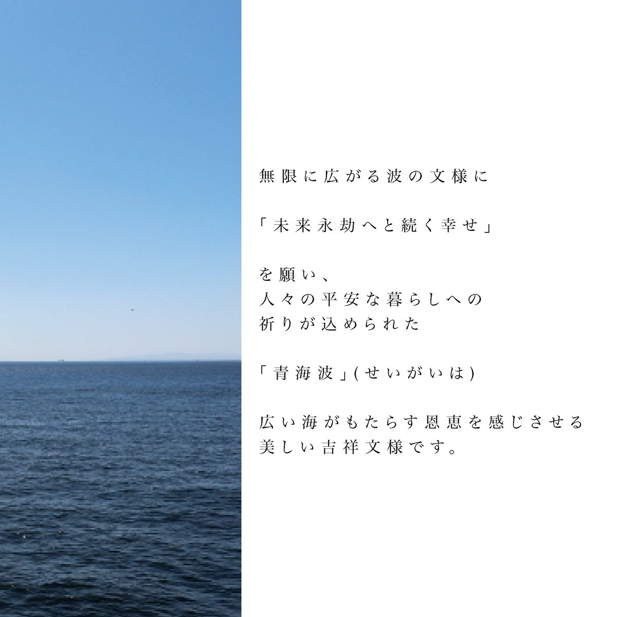 隣の芝生は青い様　ご依頼品 71INi9PGN6L._UF350,350_QL50_.jpg