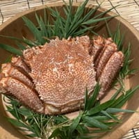 北海道産　毛ガニ　幻サイズ　1000g〜1200g