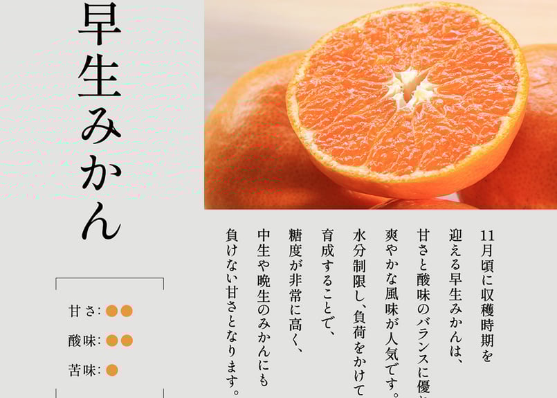 家飲みラベルレスみかんジュース 720ml | 和歌の屋