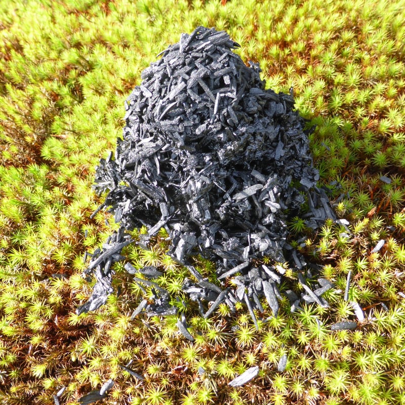 アイオーティ木炭Ⅱ（生木原料：40L 標準粒）< 2袋入 > | 炭草花