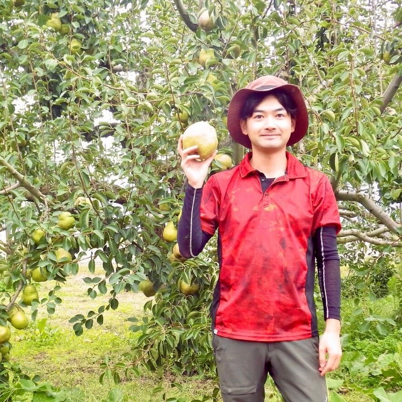 超濃厚！ラ・フランス100％ジュース 1000ml | そふどりマーケット