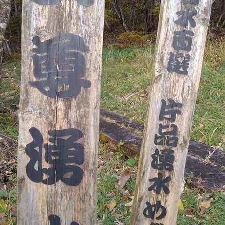 みずばしょうセット