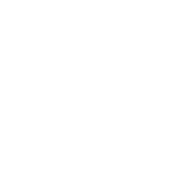 THE IRON FUEL