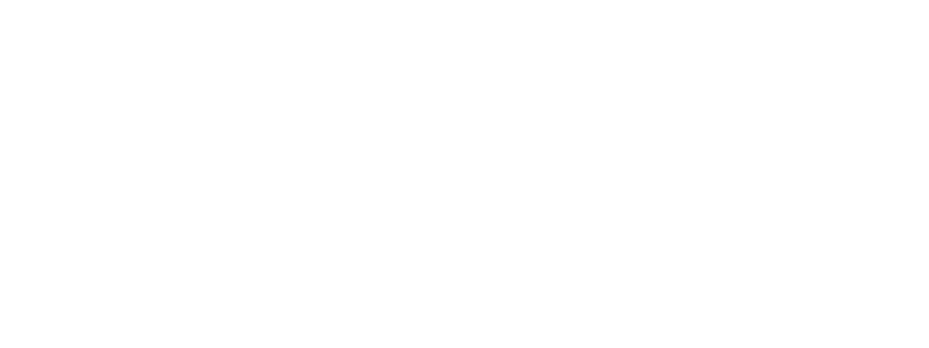 THE IRON FUEL